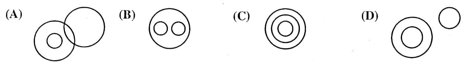 Rajasthan PTET 2025 Answer Key