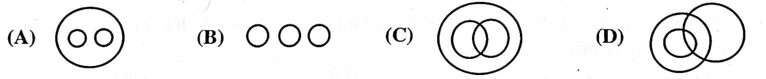 Rajasthan PTET 2025 Answer Key