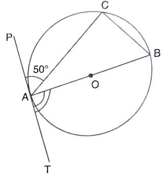 UKSSSC Forest SI Exam 2025 (Answer Key)