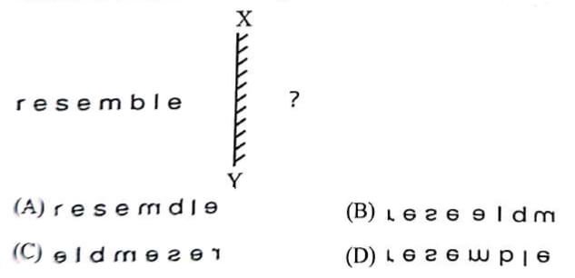 UP Police SI Exam 14 March 2026 (II)