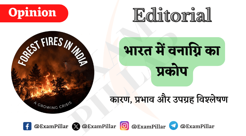 Forest Fires in India