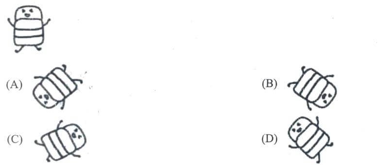 UP Police Constable Exam 2026 (Answer Key)